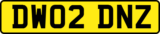 DW02DNZ