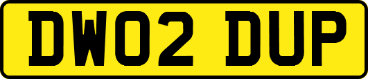 DW02DUP
