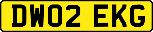 DW02EKG