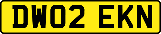 DW02EKN