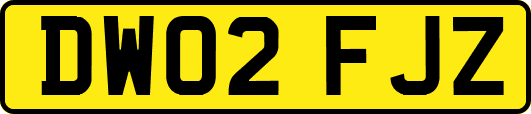 DW02FJZ