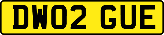 DW02GUE