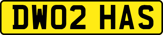 DW02HAS