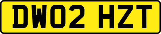DW02HZT