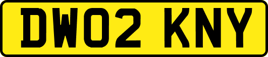 DW02KNY
