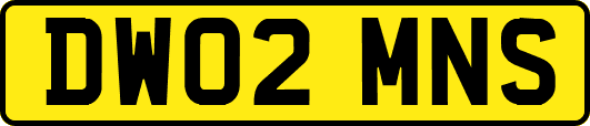 DW02MNS