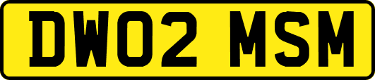 DW02MSM
