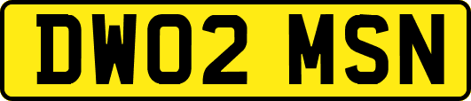 DW02MSN