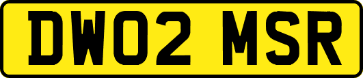 DW02MSR