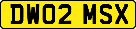 DW02MSX