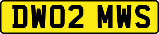 DW02MWS