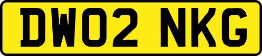 DW02NKG