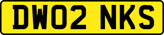 DW02NKS
