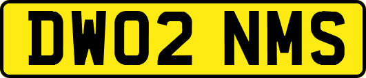 DW02NMS
