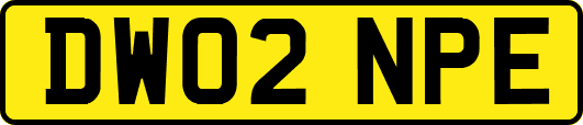 DW02NPE