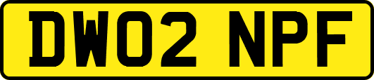 DW02NPF
