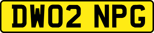 DW02NPG