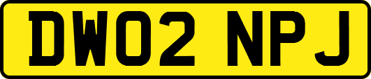 DW02NPJ