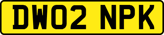 DW02NPK