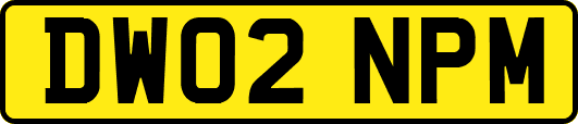 DW02NPM