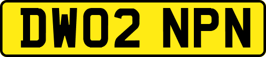 DW02NPN