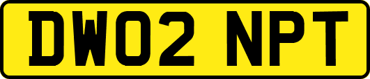 DW02NPT