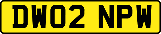 DW02NPW