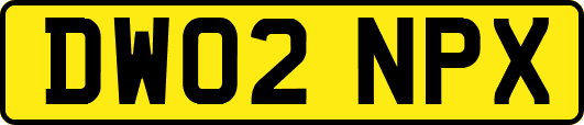 DW02NPX
