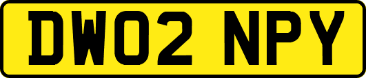DW02NPY