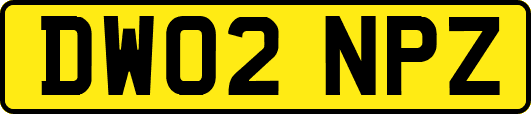 DW02NPZ