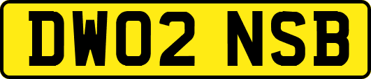 DW02NSB