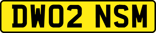 DW02NSM