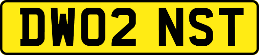 DW02NST