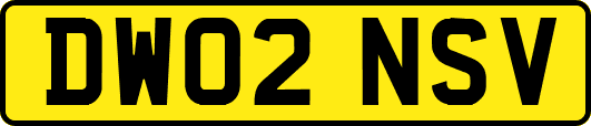 DW02NSV