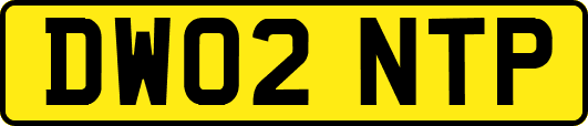 DW02NTP