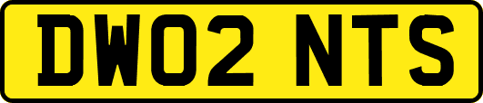 DW02NTS