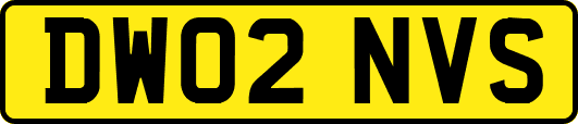 DW02NVS