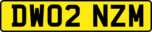 DW02NZM