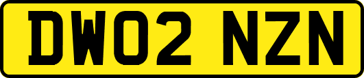 DW02NZN