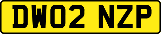 DW02NZP