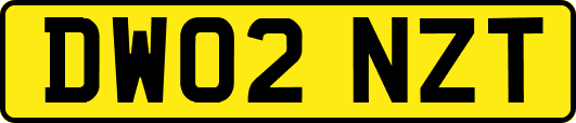 DW02NZT