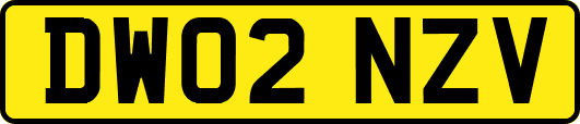DW02NZV
