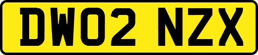 DW02NZX