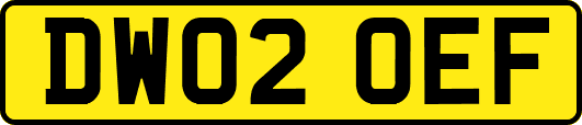 DW02OEF