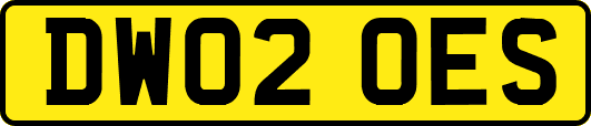 DW02OES