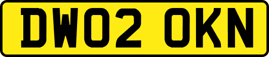 DW02OKN