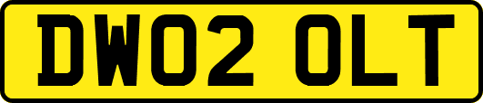 DW02OLT