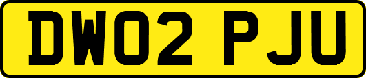 DW02PJU