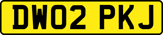 DW02PKJ