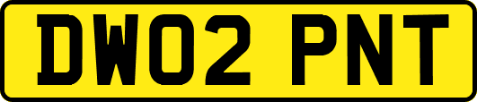 DW02PNT
